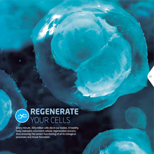 Regenerate Fuxion